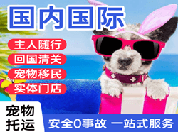 舟山机场托运国际宠物托运 【国
